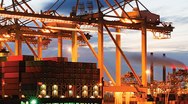 custom-clearance-our-services
